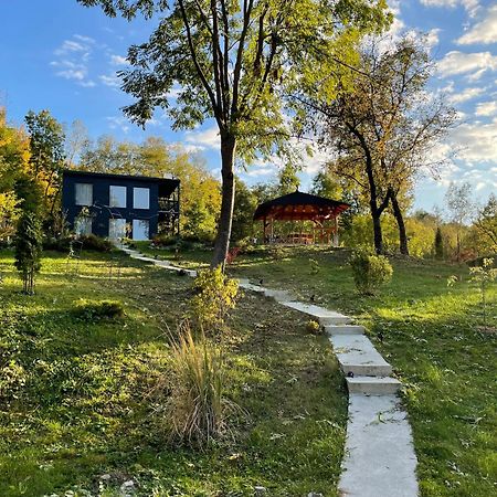 Casa De Pe Un Deal-Provita De Sus-Prahova Luaran gambar