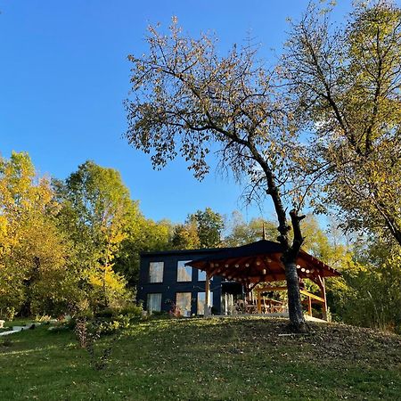 Casa De Pe Un Deal-Provita De Sus-Prahova Luaran gambar
