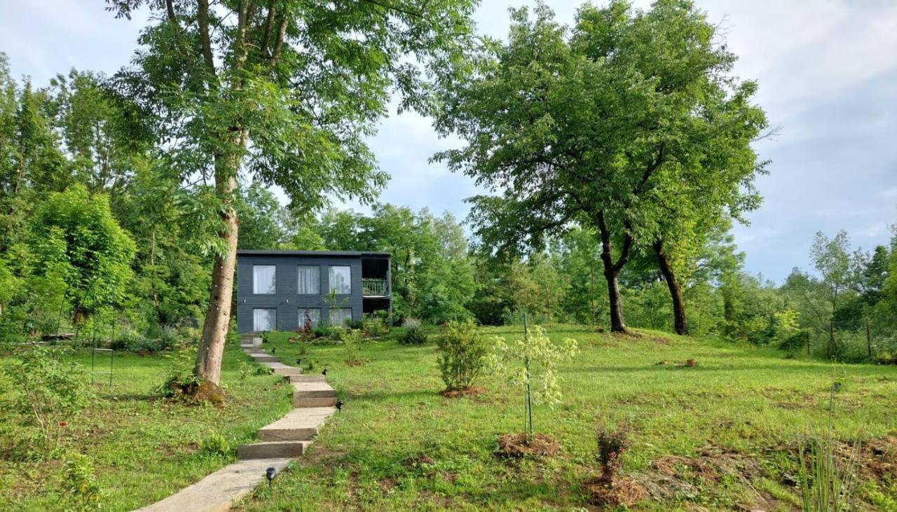 Casa De Pe Un Deal-Provita De Sus-Prahova Luaran gambar