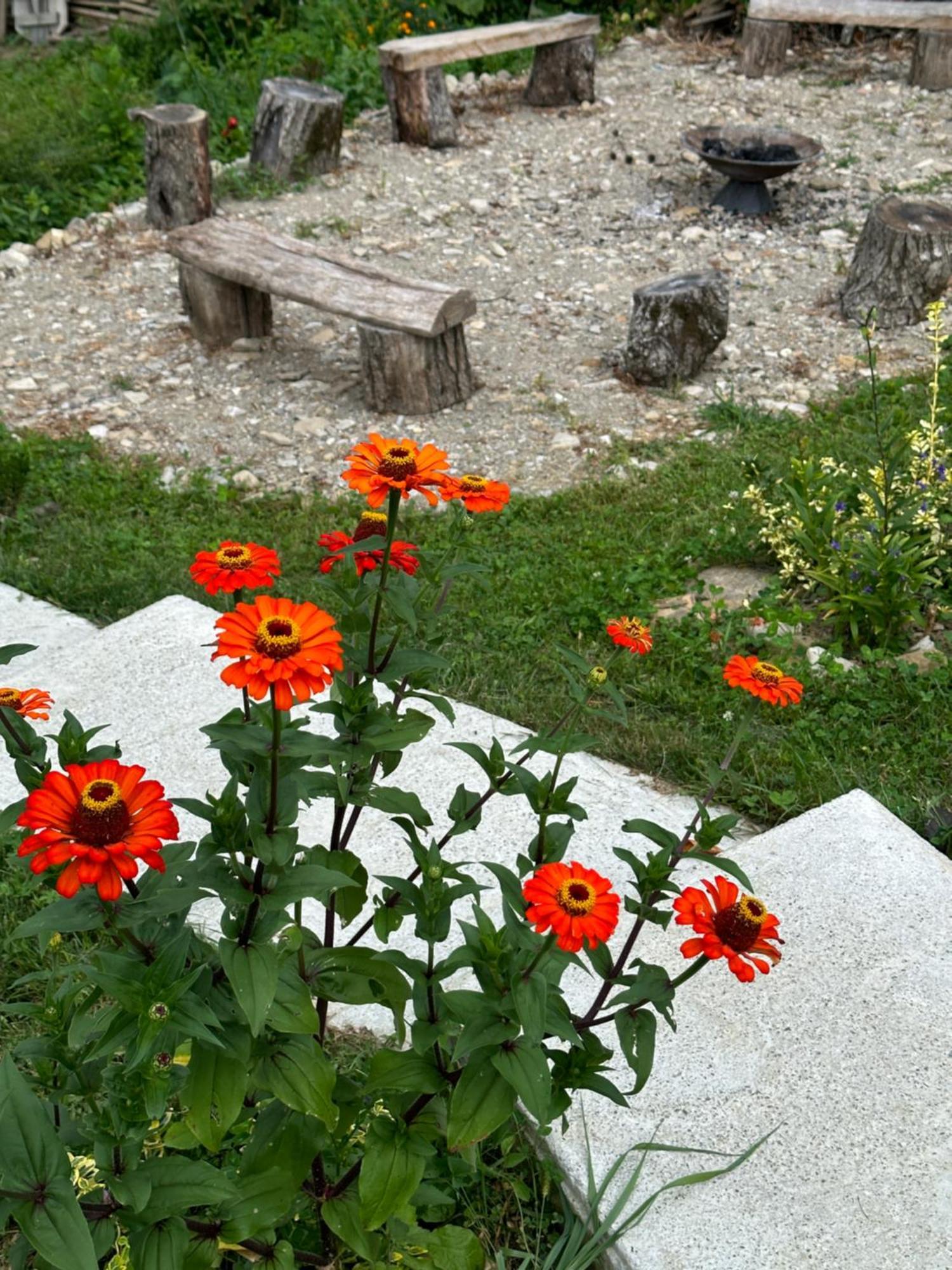 Casa De Pe Un Deal-Provita De Sus-Prahova Luaran gambar